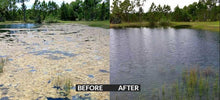 Load image into Gallery viewer, Algae Killer Kit