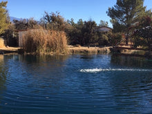 Load image into Gallery viewer, Actual Customer Pond Nevada USA
