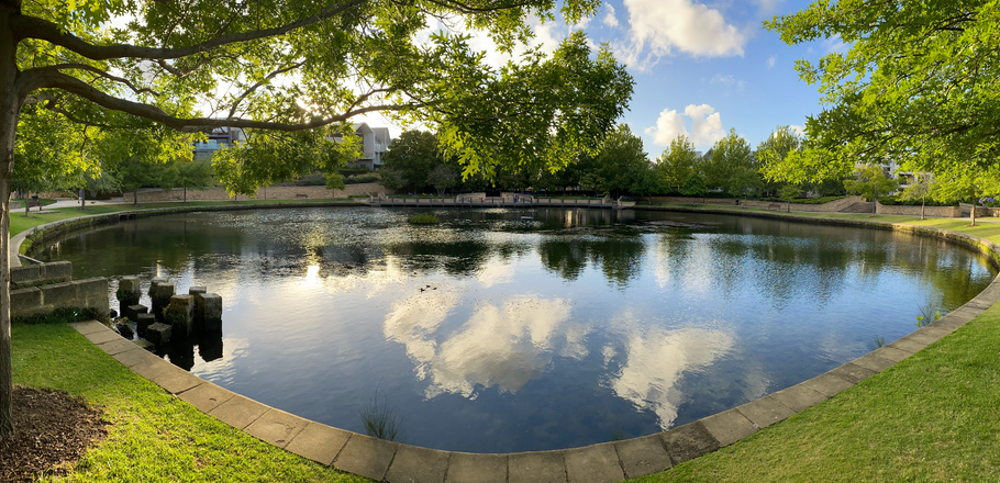 3 Easy Algae Bloom Treatments For Ponds | Organic Pond