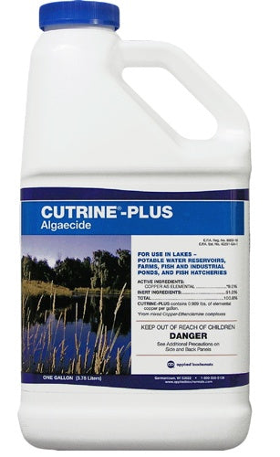 CUTRINE-PLUS Algaecide (Liquid)