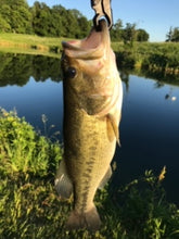 Load image into Gallery viewer, Organic Pond™ pureBLUE™ Pond Dye
