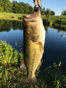 Organic Pond™ pureBLUE™ Pond Dye